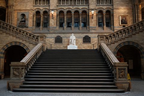 Photograph of the stairs in the entry hall of the natural history museum but it's completely empty. No people at all.