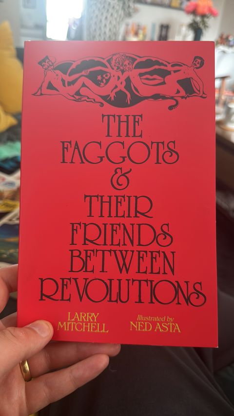 A copy of Larry Mitchell’s fable-manifesto picked up at Left Bank Books.