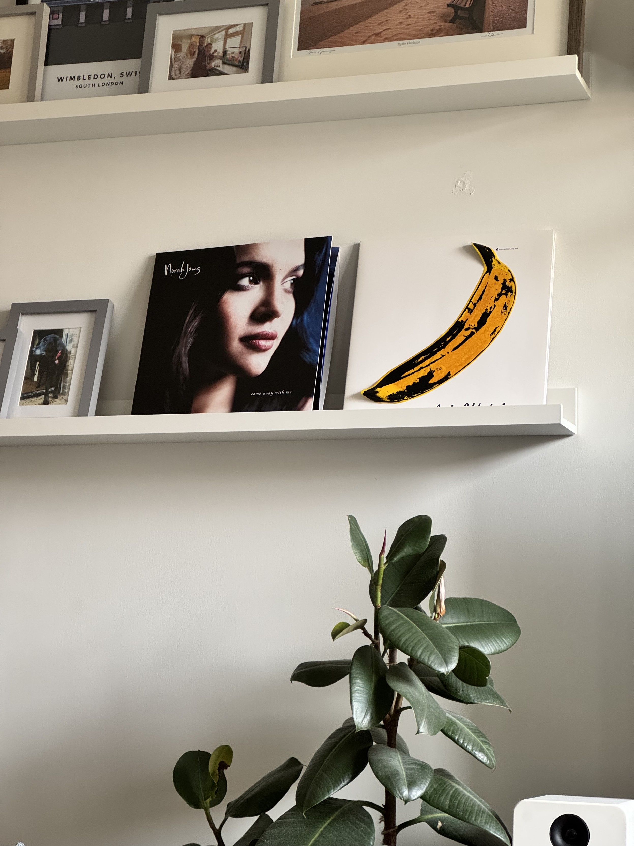 Two vinyl albums on a shelf. One velvet underground by nico with a banana on it and the other is Norah jones portrait but it looks like she desires the banana.