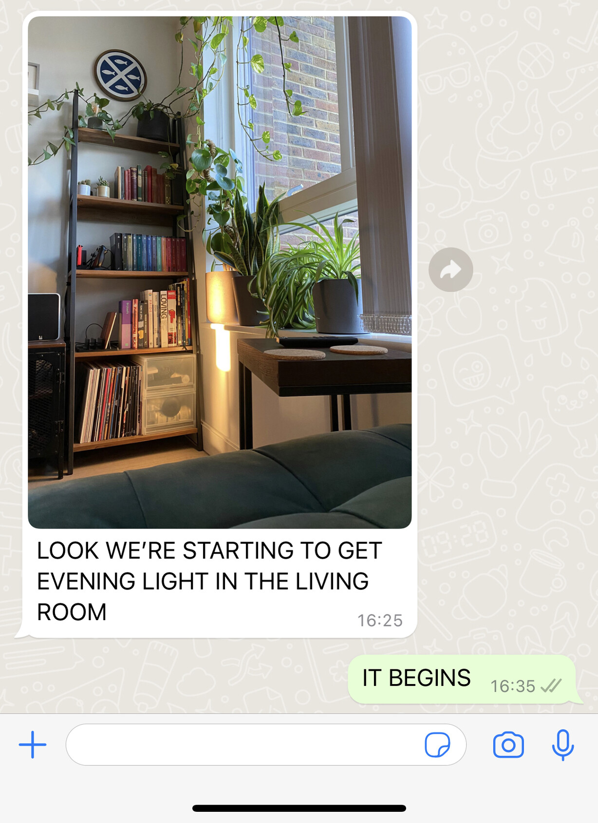 WhatsApp conversation. Message from my boyfriend with an image of our living room with a sliver of light.
His text reads in all caps: “Look we’re starting to get evening light in the living room”
My reply, also in all caps: “It begins!”